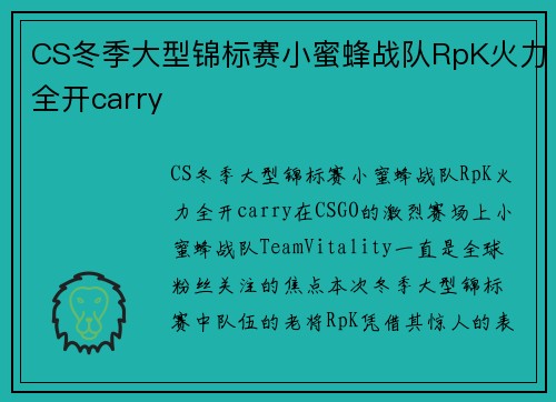 CS冬季大型锦标赛小蜜蜂战队RpK火力全开carry