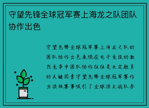 守望先锋全球冠军赛上海龙之队团队协作出色