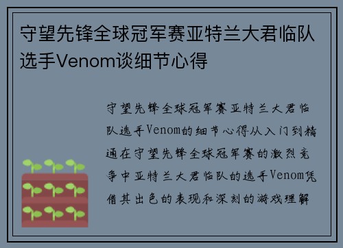 守望先锋全球冠军赛亚特兰大君临队选手Venom谈细节心得